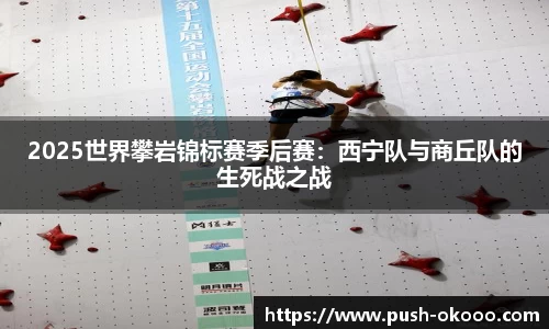 2025世界攀岩锦标赛季后赛：西宁队与商丘队的生死战之战