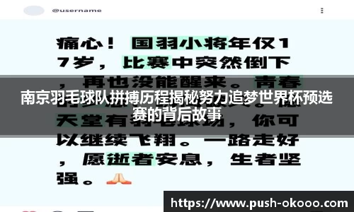 南京羽毛球队拼搏历程揭秘努力追梦世界杯预选赛的背后故事
